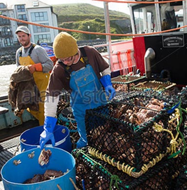 Local Fish Produce